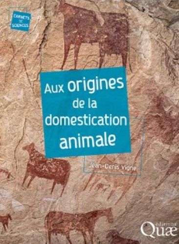 Page accueil
